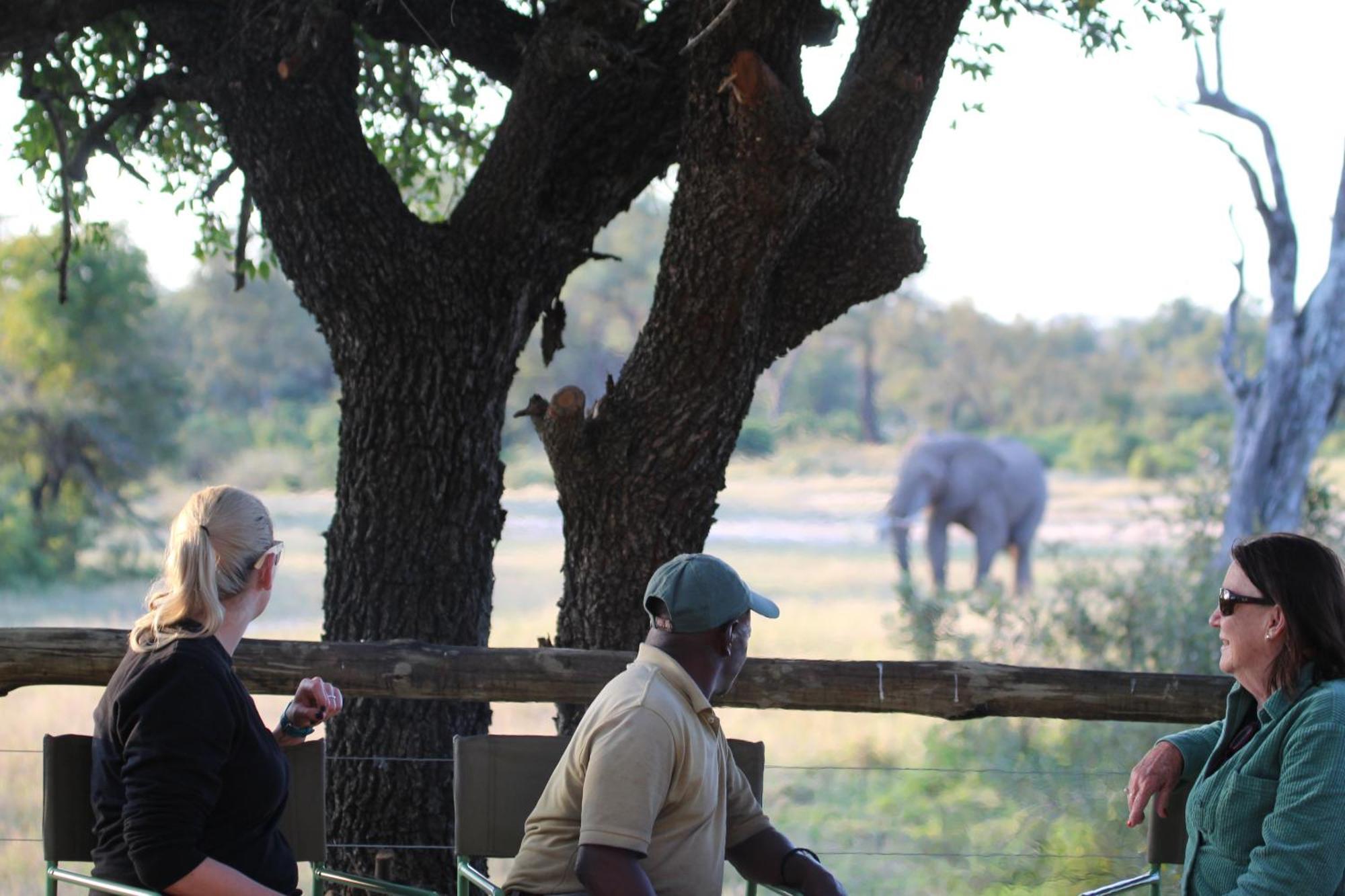 Rhino Walking Safaris Hotel Skukuza Buitenkant foto