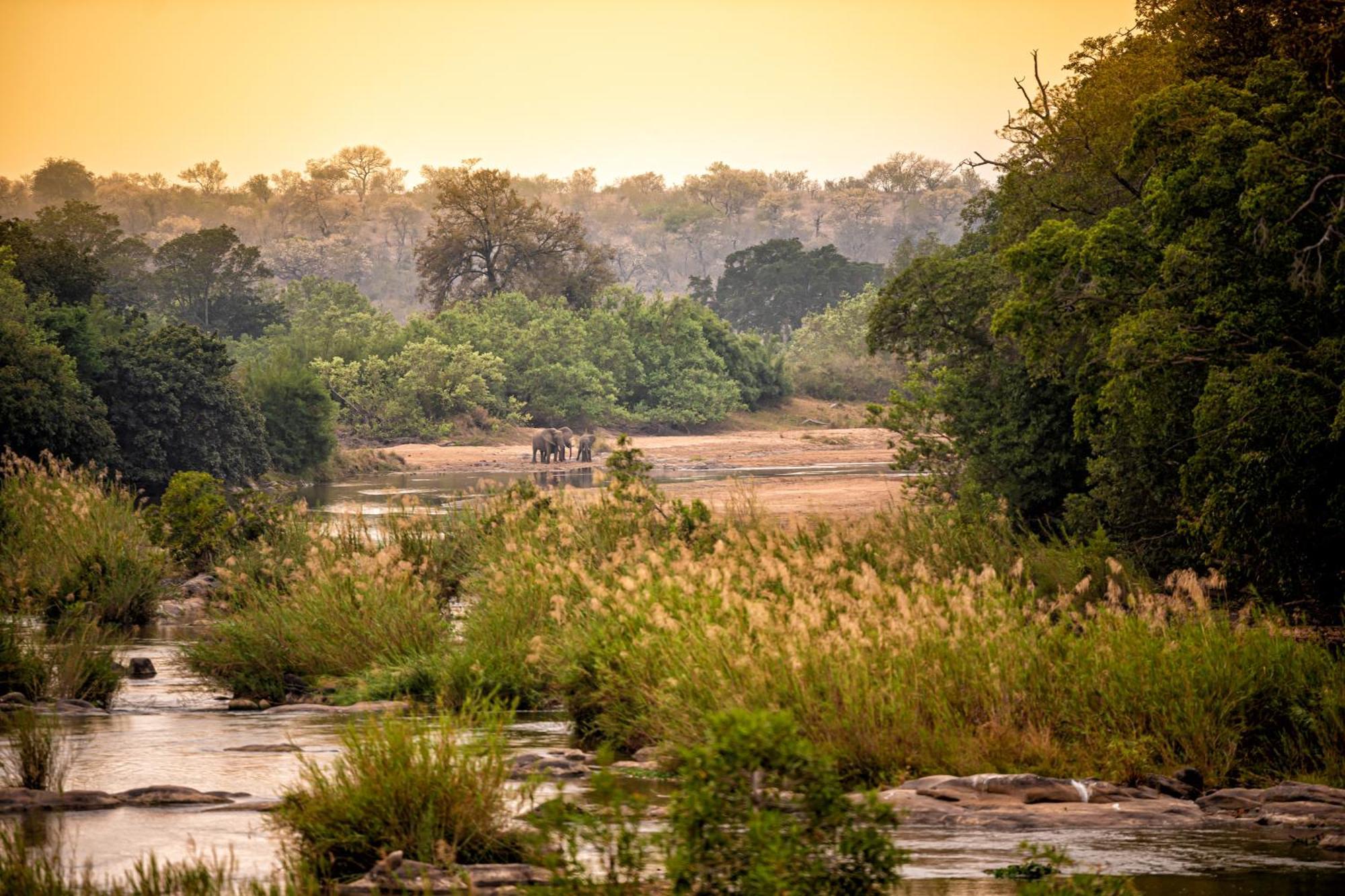 Rhino Walking Safaris Hotel Skukuza Buitenkant foto