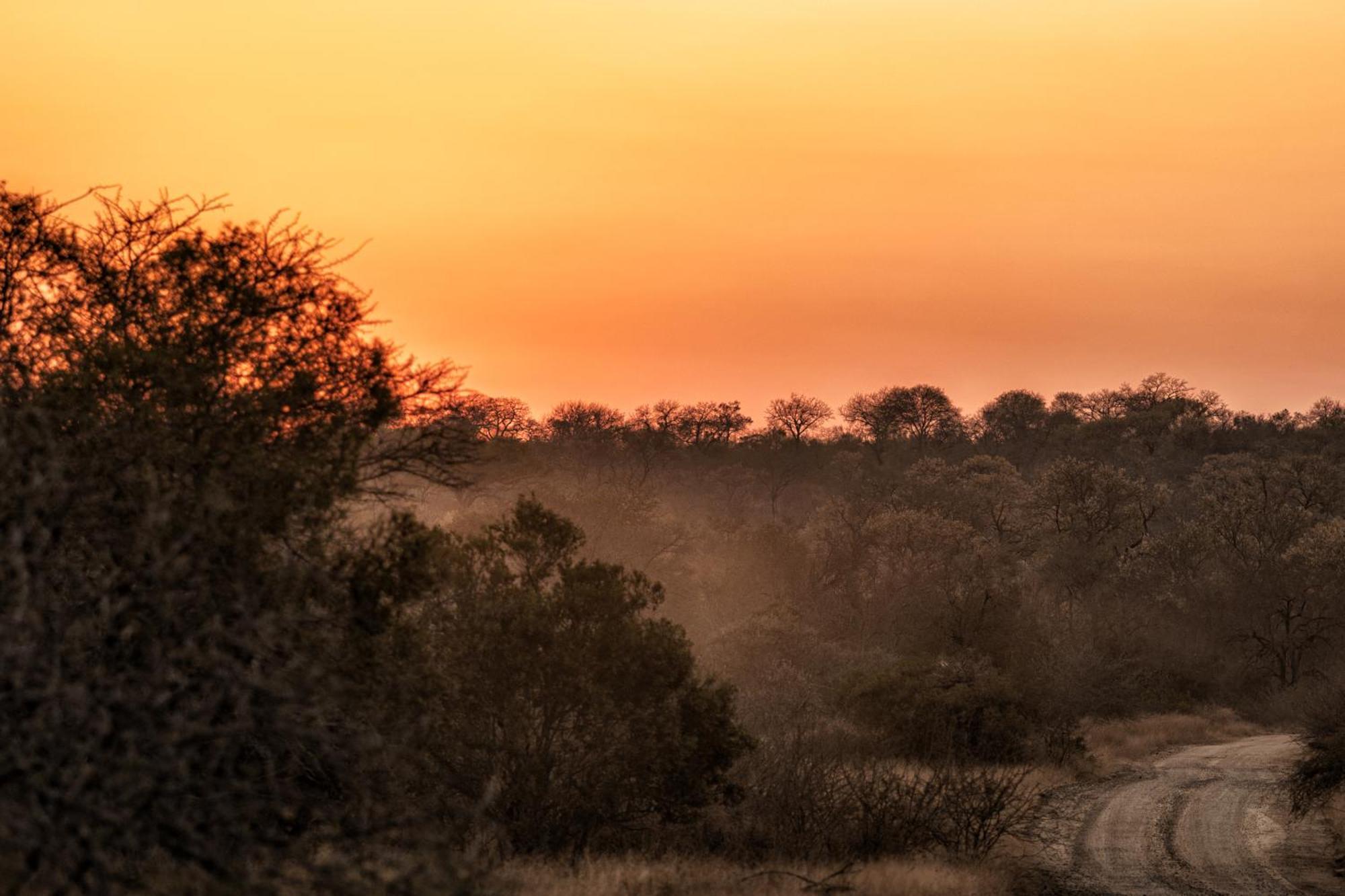 Rhino Walking Safaris Hotel Skukuza Buitenkant foto