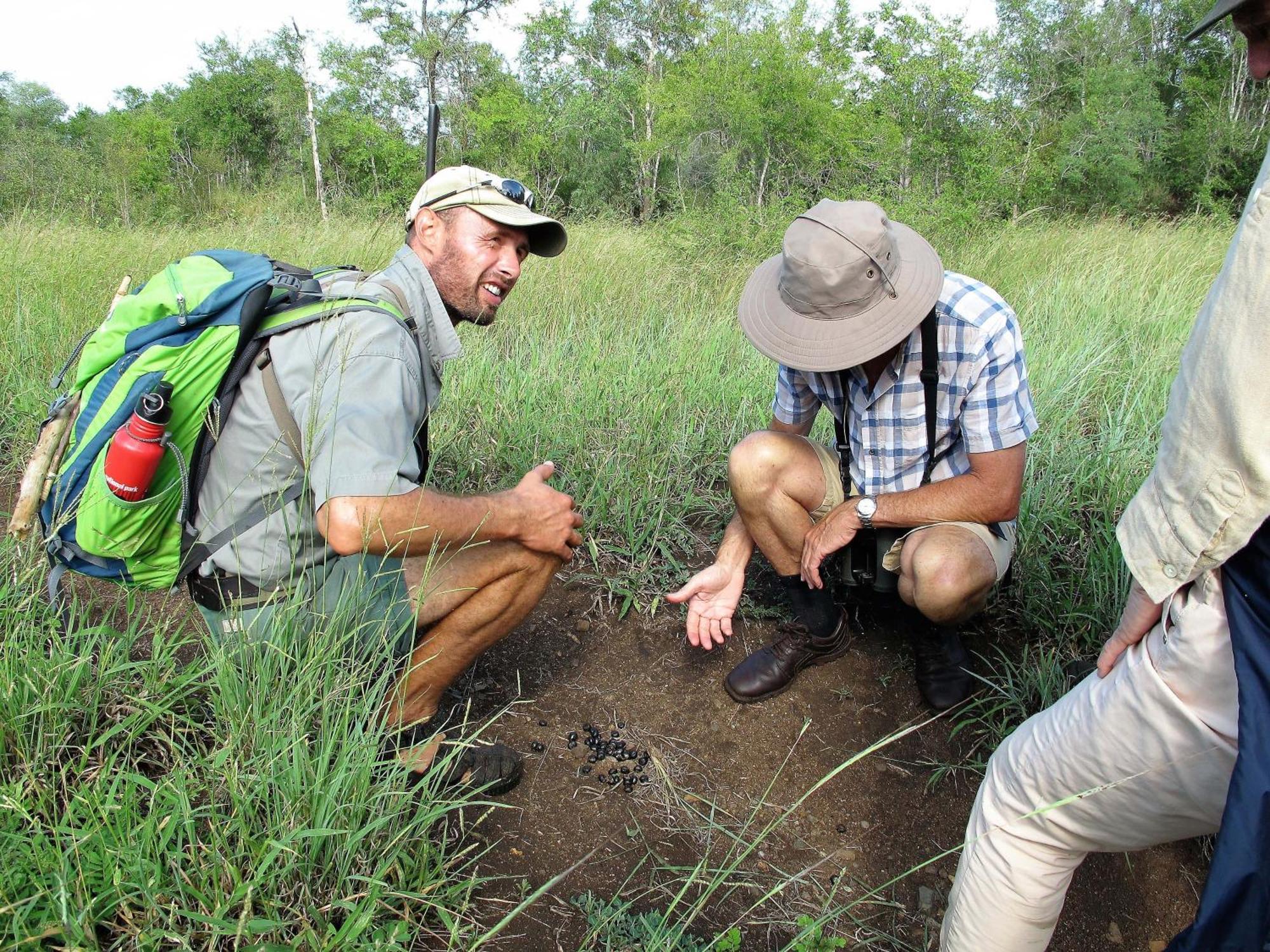 Rhino Walking Safaris Hotel Skukuza Buitenkant foto