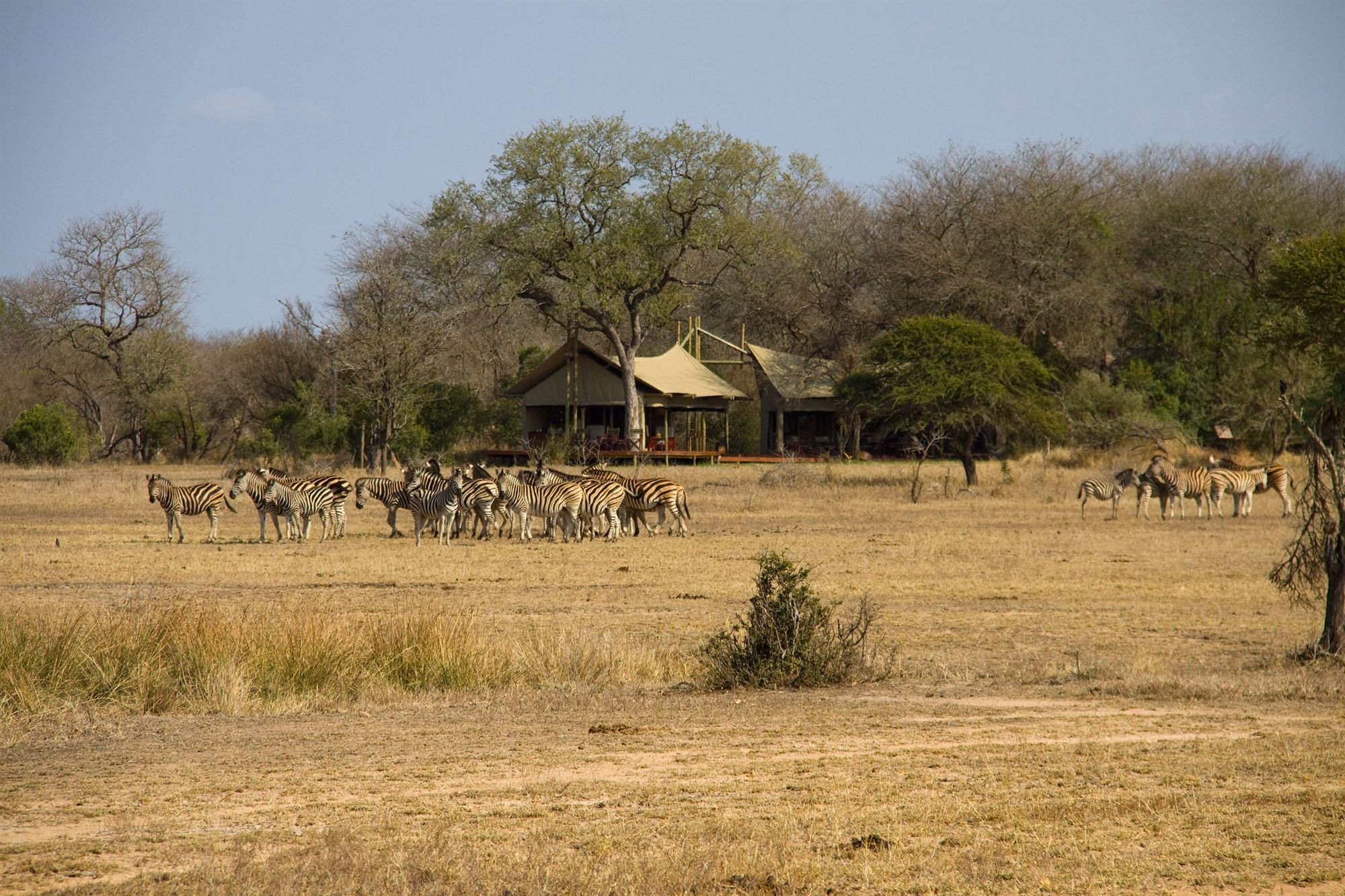Rhino Walking Safaris Hotel Skukuza Buitenkant foto