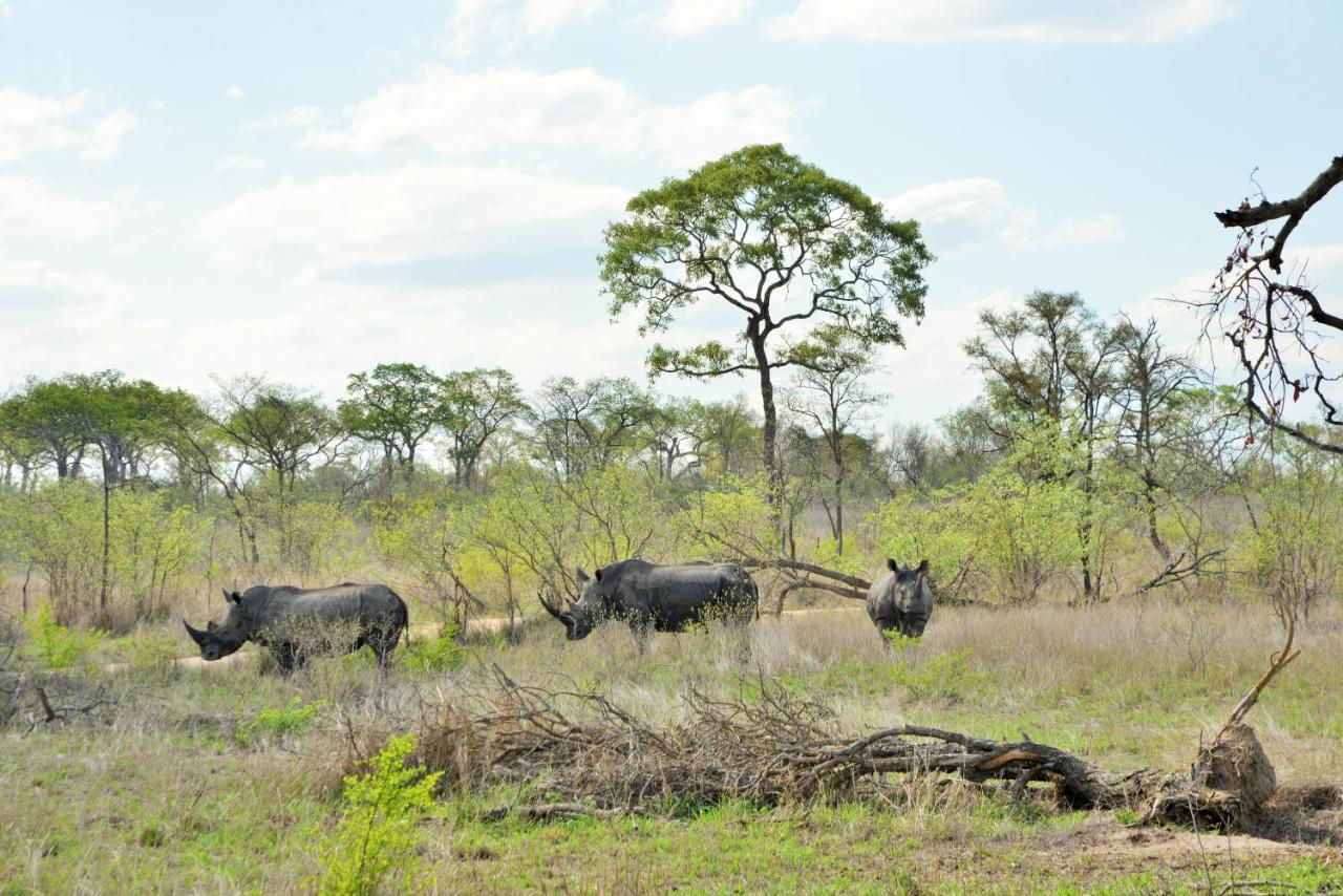 Rhino Walking Safaris Hotel Skukuza Buitenkant foto